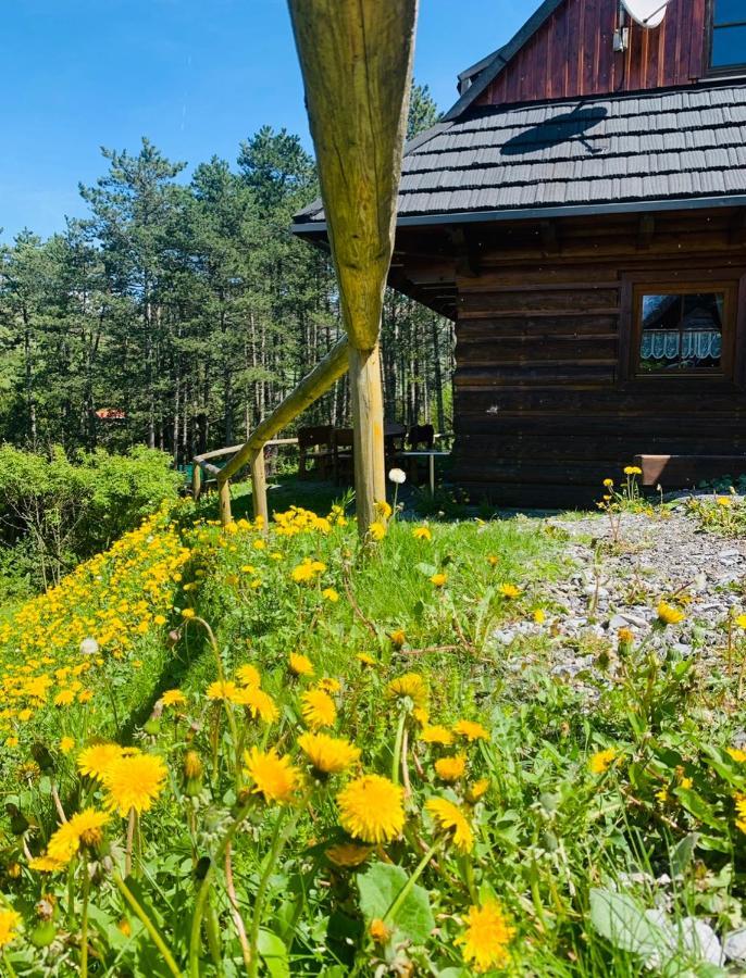 Penzion Drevenica Janosik Terchová Exteriér fotografie